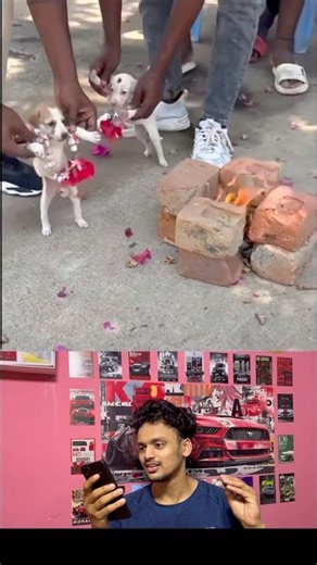 നായ്ക്കുട്ടികളെ വരെ കല്യാണം കഴിപ്പിക്കാൻ ആളുണ്ട് 😅🥲Dog marriage 🐶