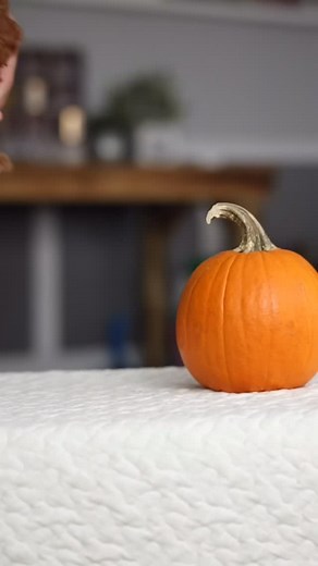 WAY cuter than a bag of oranges. 😂🥰 This beautiful girl is looking for arms and hearts to hold her—the vet said she can go 🏡 anytime! She will be 12-17 lbs full grown, allergy friendly, friendly and sweet as can be. 🥹🥰🥹🥰 Cavapoochons are much like cavapoos, but healthier! They’re more like a stuffed animal come to life. ❤️❤️ #cavapoochon #cavapoochonpuppy #cavapoo #cavapoopuppy | Giggle Tails