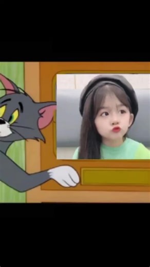 Heartwarming Rescue of an Orphaned Macaque