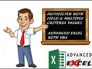 AutoFilter With Field & Multiple Criteria Values | Advanced Excel | Excel VBA | When ExcelisAdvanceD
