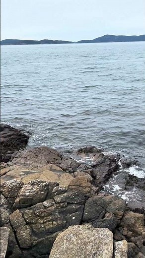 ALONG A ROCKY SHORE