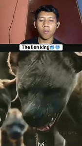 G4har banget #lions #lionking #simba #fypjangkauanluas #fypviralシ #reactionreels #fypシ゚ #teman | Wisnu