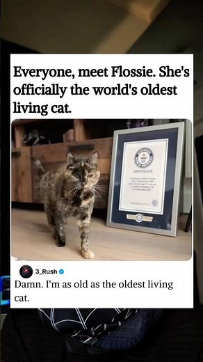 Flossie the world’s most oldest cat.