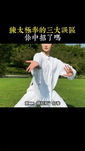 練太極拳這三點錯誤，碰一個都傷身！想把太極拳練到身上，光看不行，還得練對路子。下方這套名師親授的楊式太極合輯講透了細節，想練出真功夫的朋友不妨一看#kungfu #chenstyle #taichi