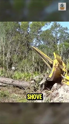 Chain Brushing - Clearing Wooded lands #viral #shorts