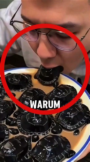 JAPAN ist das SCHLAUSTE LAND!😱 #shorts #deutsch #japan #smart