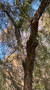 Brian Wolff on Reels