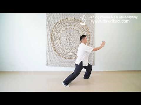 Tai Chi 8 Form Instructional Video 6 (Left Brush Knee - 搂膝拗步 Lou Xi Ao Bu)
