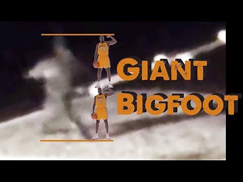 Mystery of Giant Bigfoot Filmed by Texas State Park Security Cam (ThinkerThunker)