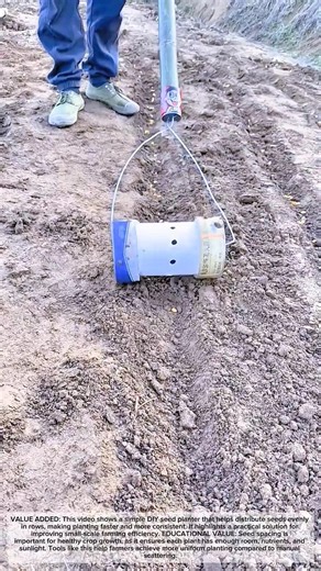 DIY Seed Planter Tool in Action | Efficient Row Planting Method #craftedeveryday