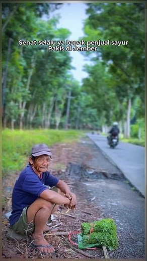 Kisah inspiratif penjual sayur pakis. #Jember | Abdul Muin