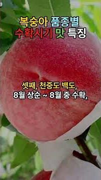 Peach Harvest Seasons, Flavors, and Characteristics by Variety: It’s Prime Peach Season Now! #sho...