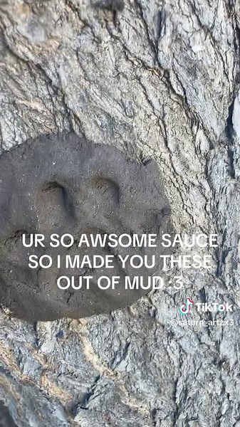 Creativity with Mud: Amazing Mud Art Projects