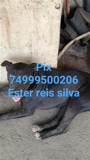 pix 74999500206