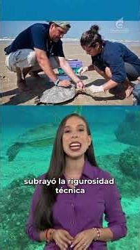 Bióloga venezolana recibió el prestigioso Premio Archie Carr