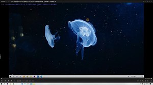 电脑脚本软件介绍，每一个都是神仙软件啊！