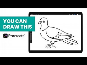 Anyone Can Draw This Cute Pigeon Bird Coloring Book - PROCREATE DRAWING Tutorial