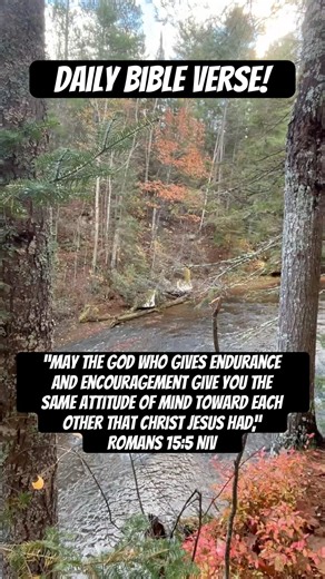 Daily Bible Verse! #bible #naturephotography #bibleverse #nature