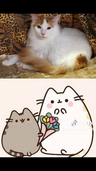 pusheen cat characters in real life #pusheencat #fyp #edith #пушинкэт #рекомендации❤️❤️❤️