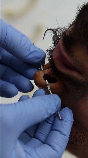 Septum Piercing with 14g Titanium | The Apollo Tattoo & Piercing Studio in Santa Monica,CA