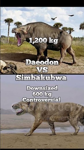 Entelodonts vs Hyaenodonta #paleontology #1v1 #vs #animals #fyp