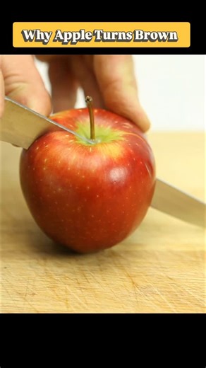 Arun R | 🍎 Why do apples turn brown after cutting? 🤔 It’s not magic—it’s science! 🧪 When an apple is sliced, enzymes inside react with oxygen in the... | Instagram