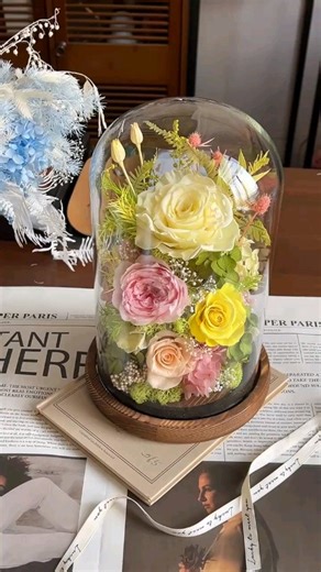 Everlasting source on Instagram: "TOP SELLING Preserved Rose in Glass Dome for Valentine's Day Mother's Day Gift #driedflowerinstallation#driedflowers#britishgrownflowers #preservedflowers#dryflowerswholesale#preservedflowerswholesale #preservedflowerssydney#preservedflowersnsw#preservedflower#flowerswholesale#preserved-flowers#hyperium#flaxflower#driedflowerwholesale#australiadriedflowerwholesale#christmaspreservedflower#valentinesday#valentinesdayflowers#preservedhydengea#preservedhydengeas#wh