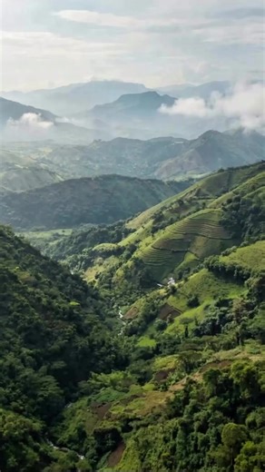 🇦🇿 Qəhvənin yaranma tarixi Efiopiyaya gedib çıxır. Rəvayətə görə, Kaldi adlı çoban keçilərinin qəhvə giləmeyvəsini yedikdən sonra daha enerjili olduğunu görür. Bu bitki sonradan Yəmənə, oradan isə bütün dünyaya yayılır. 🇹🇷 Kahvenin kökeni Etiyopya’ya dayanır. Rivayete göre Kaldi adlı bir çoban, keçilerinin kahve meyvesini yedikten sonra canlandığını fark eder. Kahve zamanla Yemen’e, oradan da dünyaya yayılır. 🇷🇺 История кофе начинается в Эфиопии. По легенде пастух по имени Калди заметил, ч