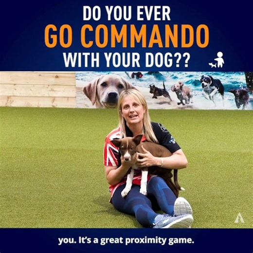 🌟 Why Do We Play Confidence Games? 🌟 Ditch the bowl for optimism! 🥣➡️💪 Confidence games aren’t just fun – they help your dog feel like a super hero in any situation! 🎉🐾 ✨ For more games and top tips to boost your dog’s optimism, check out our FREE Optimism Rocks eBook! 📚🚀 👉🏻https://absolutedogs.me/optimismrocks-ebook #absoluteDogs #ConfidenceGames #OptimisticDogs #DitchTheBowl #DogTrainingTips | absoluteDOGS