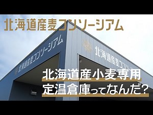 北海道産小麦専用定温倉庫ってなんだ？