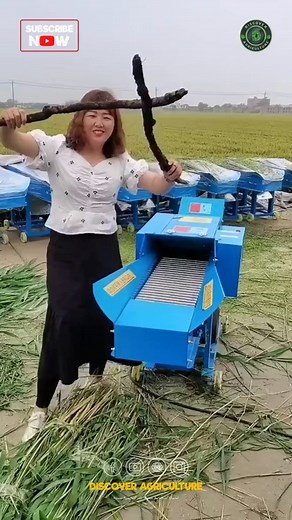 1.5K views · 26 reactions | Best Chaff Cutter Machine #chaffcutter #Machine #agricultute #farming #agriculturemachine #farmingmachine | Discover Agriculture | Facebook