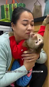 What's happening: Monkey Lyly stayed away after misinterpreting her mother's filthy clothes. | Monkey LyLy Famliy