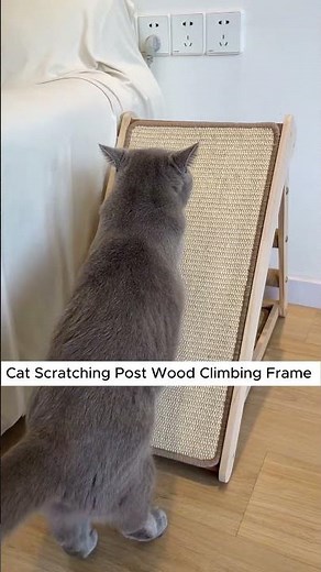 The Ultimate Cat Scratching Post Your Feline Will Love ❤️ #cat