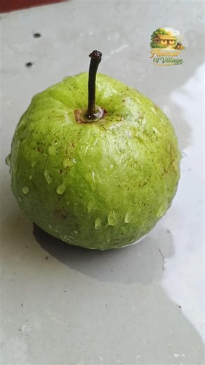 Fresh Guava Cutting ASMR | Satisfying Crunch Sound | Village Fruit Cutting Short