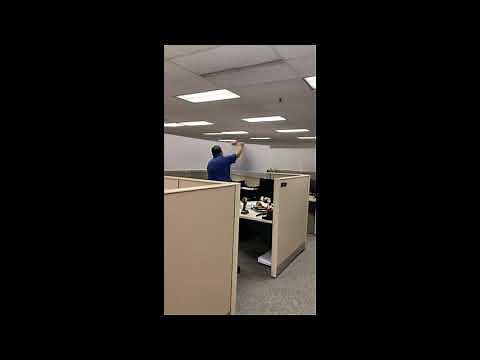 DIY office partitions made using corrugated plastic sheets