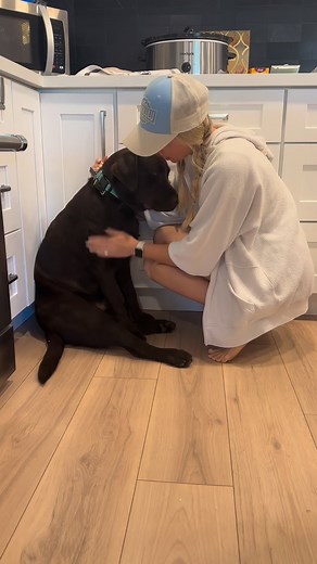 My best friend forever and ever 🤎 #labrador #labradorvideos #labradorretriever #chocolatelab #labpuppy #puppiesof instagram #puppylove #labstagrams #talesofalab #talesofalabpuppy #puppylove #labs_of_insta #dogmom #souldog | The Lab Woody