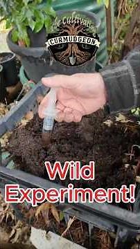 Don't throw away that contaminated mushroom culture! 🍄