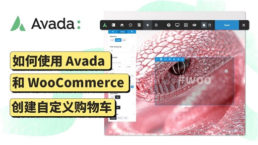 Avada进阶 - 03.如何使用 Avada 和 WooCommerce 创建自定义购物车