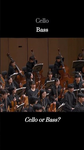 Cello or Bass? | J. Sibelius, Symphony No. 2 #orchestra #violoncello #contrabass #excerpt #conductor