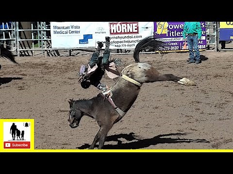 Bareback Bronc Riding - 2022 Lost Dutchman Days Rodeo | Saturday