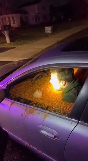 car full of beans | Evan Era
