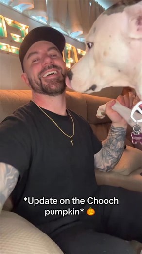 Eddie N Chooch on Instagram: "It wasn’t Chooch 😩, but it was an excellent job done by Emily. Her dogs name is Gary and he resembles Chooch a lot! Thank you all for coming together and finding the info out for me! You guys are the best 🙏 #eddienchooch #explore #parati #explorepage #trending #petstagram #fypシ #viral #fyp #love #halloween #reels #exploremore #bestfriendsforever #dogsofinsta #dogoftheday"