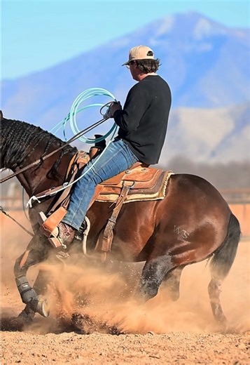 Unmatched Presence of a Stunning Stud