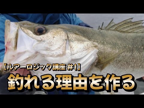 [Lure Logic Course #1] The basics of fishing that reveal the answer based on the tide, wind, and ...