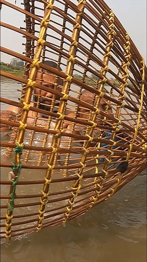 55K views · 558 reactions | Senior Citizens Fishing By Rural Fishing system #fishing | King Of Fishing | Facebook