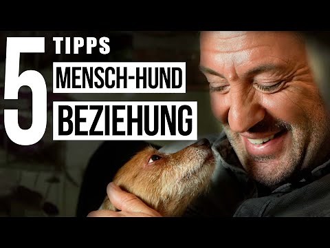 Eine harmonische Mensch-Hund-BEZIEHUNG! ❤️ Das solltest DU beachten