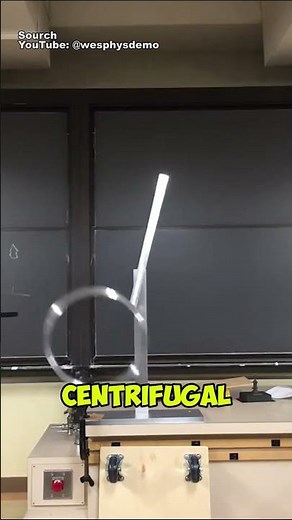 What Is Chaos Theory🤔