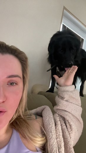 Alena Swag Panda (@swagtwerkpanda)’s videos with оригинальный звук - Alena Swag Panda