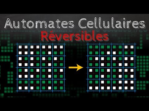 Cellular Automaton - Passe-Science # 23