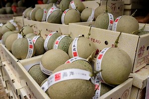 Hongkongers going nuts over high-end fruit | Coconuts